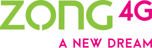 Zong logo vector