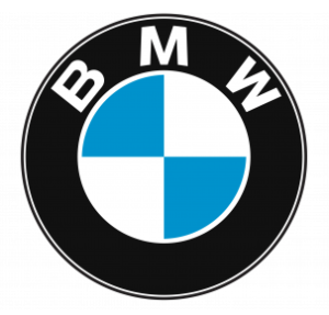 1963 BMW LOGO Vector