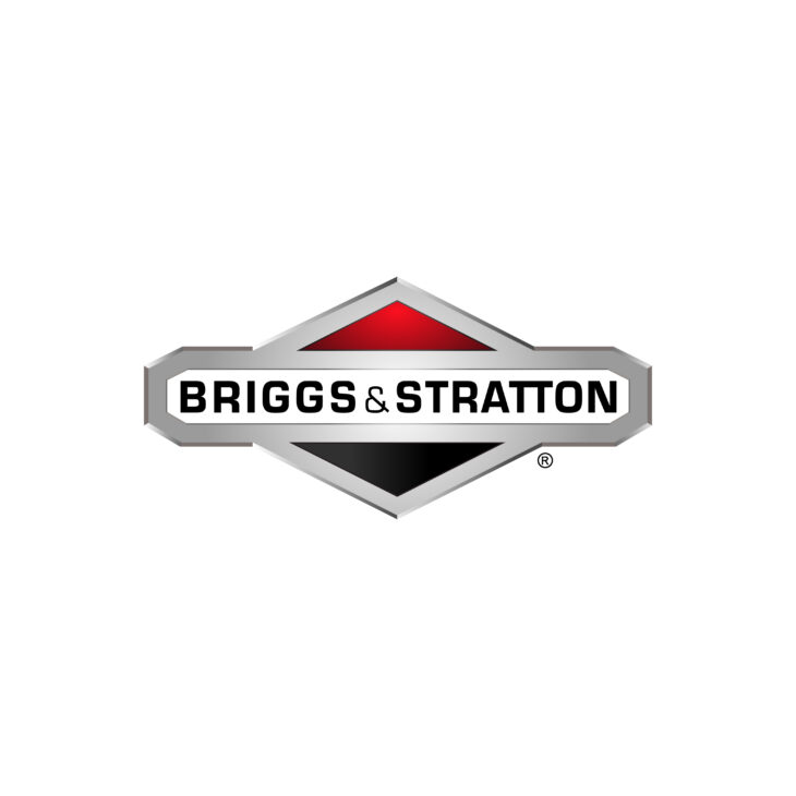 Briggs & Stratton Logo Vector
