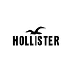 Hollister Logo Vector