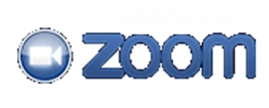 2013 Zoom logo