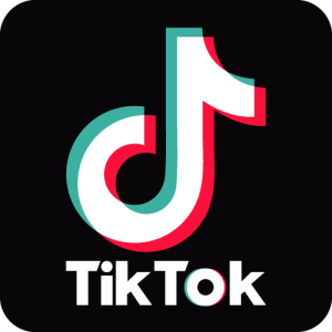 Tiktok Logo Vector