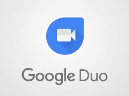 vectorseek Google Duo Logo