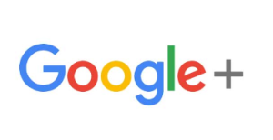 vectorseek Google+ Logo