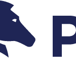 Pegasystems Logo Vector