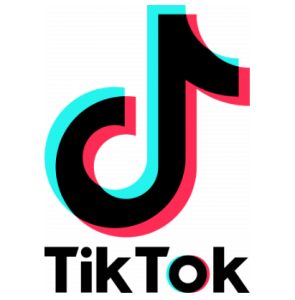 2018 tiktok logo