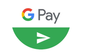 vectorseek Google Pay Send Logo