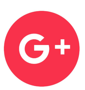vectorseek Red Google Plus Icon