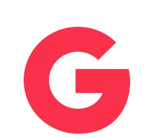 vectorseek Red Google Icon