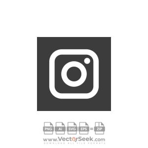 Grey Instagram Icon Vector