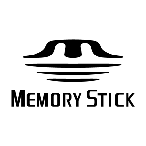 Memory Stick Logo Vector