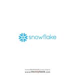 Snowflake Computing Logo Vector