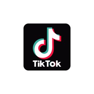 Tiktok logo With Name Vector