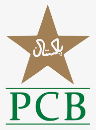 vectorseek Pakistan National Cricket Team