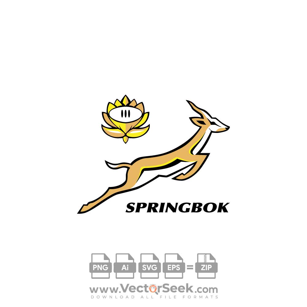 logo springbok rugby 2023