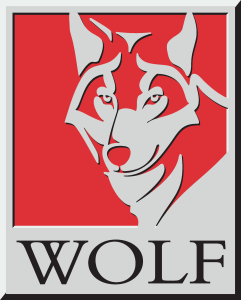 Wolf Logo Vector