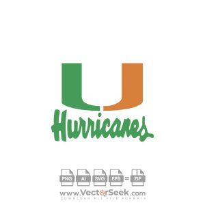 Hurricanes Logo Vector