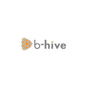 B Hive Networks Logo Vector
