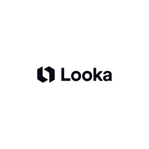 Looka Logo Vector
