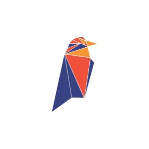 Ravencoin (RVN) Logo Vector