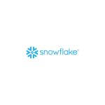 Snowflake Logo Vector