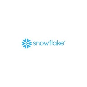 Snowflake Logo Vector