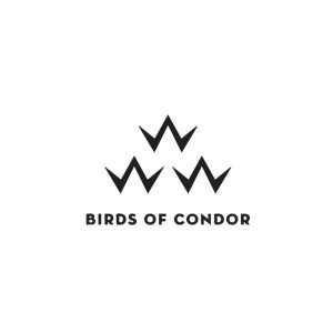 Birds of condor Logo Vector