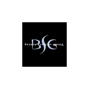 Bsg Logo Vector