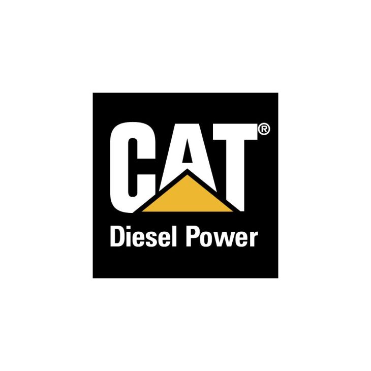 Cat Diesel Power Logo Vector