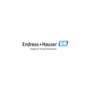 Endress+Hauser Logo Vector