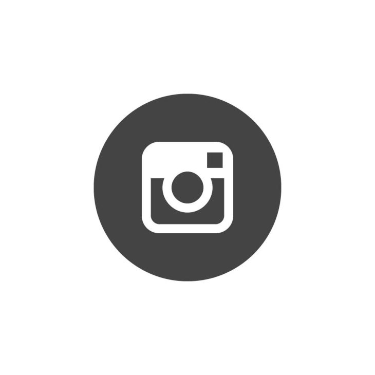 Instagram Circle Logo Vector
