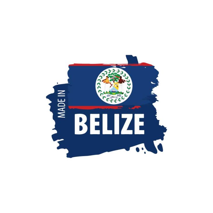 Made in Belize Logo Vector