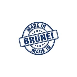 Made in Brunei Logo Vector