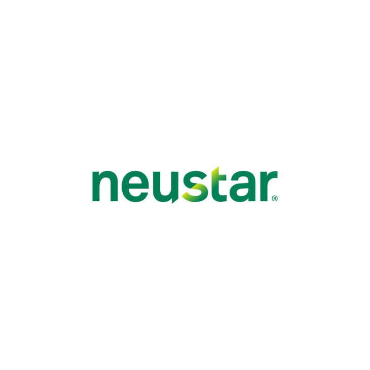 Neustar Logo Vector