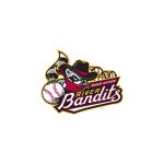 Quad Cities River Bandits Logo Vector