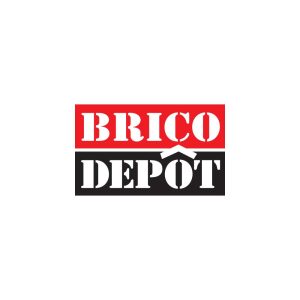 Brico Depot Logo Vector