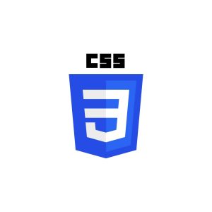 CSS Logo Vector