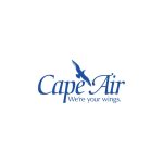 Cape Air  Logo Vector