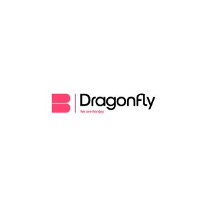 Dragonfly Logo Vector