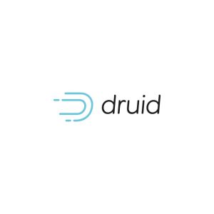 Druid Apache Logo Vector