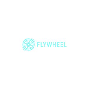 Flywheel Logo Vector