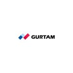 Gurtam Logo Vector