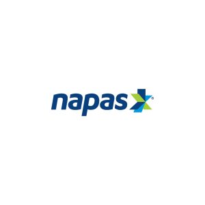 Napas Logo Vector