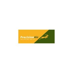 Precision Air Logo Vector