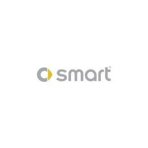 Smart Logo Vector