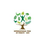 United Nations International Year Of Forests 2011 Logo Vector