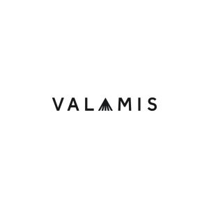 Valamis Logo Vector