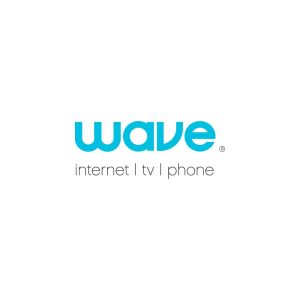 Wave Logo Vector