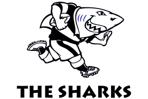 1999 Sharks Logo