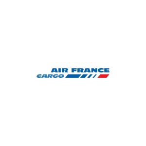 Air France Cargo Logo Vector